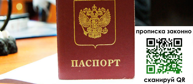 прописка в Сольцах